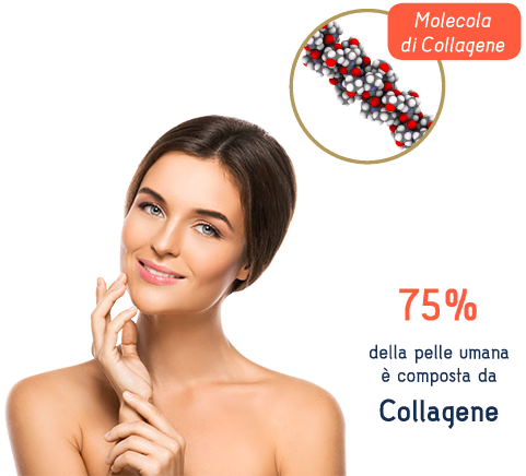 Molecola di Collagene